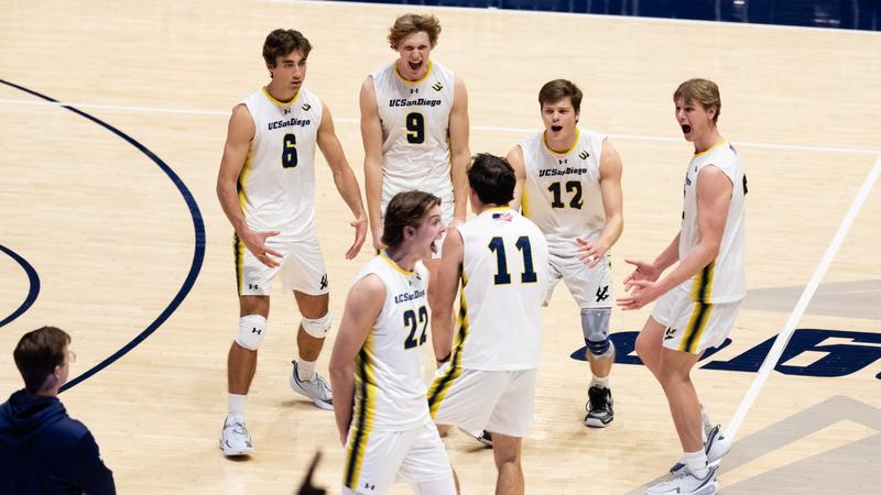 Ucsd Wolves Tritons Reverse Sweep Flyers - UC San Diego