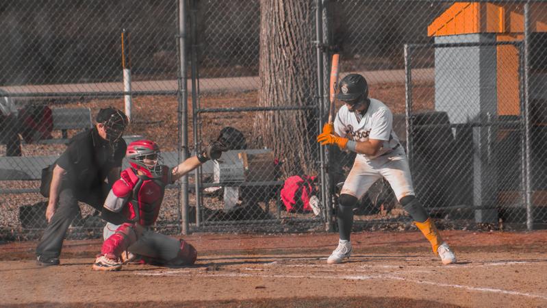 Baseball Sweeps la Roche For First Time Since 2010 - University of ...