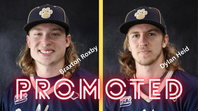 Former Mountain Cat Pitchers Braxton Roxby and Dylan Heid Promoted to ...