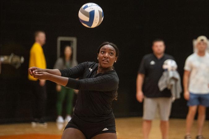 Strike Rattlers Falcons Out Strike Rattlers - UTPB Athletics