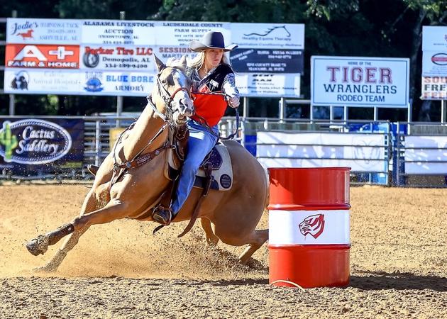 Utm Rodeo Logo Tiger Wranglers Finish Strong at UTM Rodeo - University of West Alabama ...
