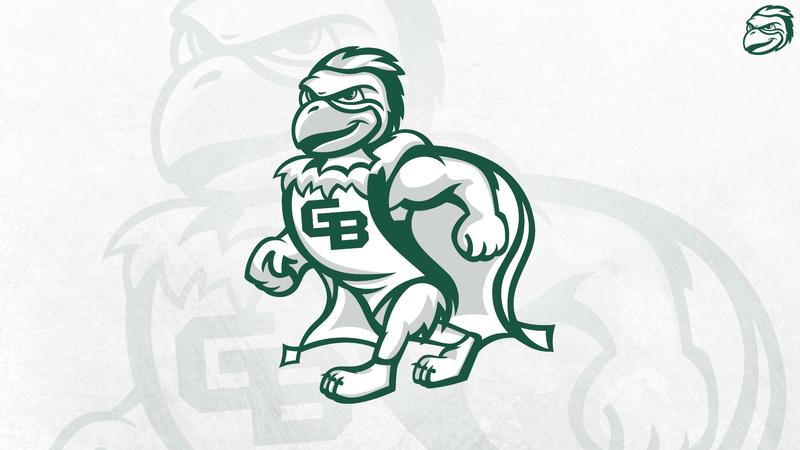 Phlash Phoenix UW-Green Bay Unveils New Phlash Caricature; Items Now Available at the ...