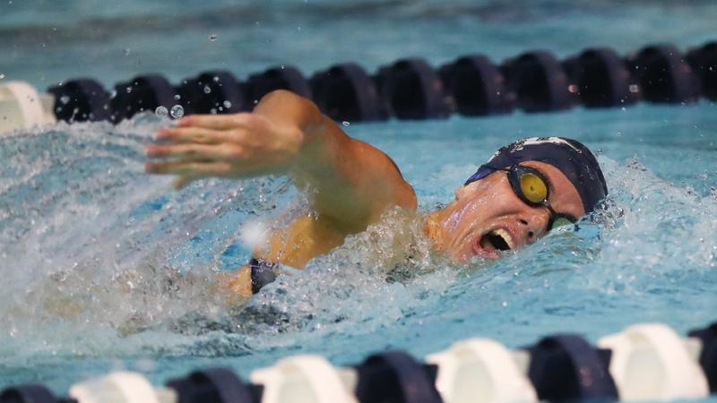 Behrend Fall Westminster women fall at home to Penn State Behrend - Westminster ...