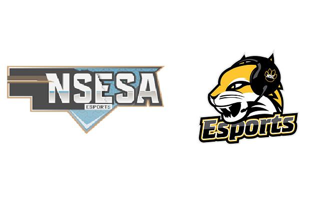 Wsc Esports WSC Esports Hosting NSESA Mario Kart State Finals on February 5th ...