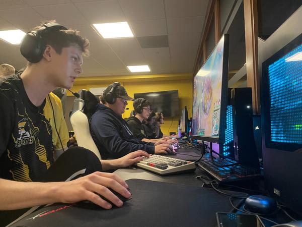Wsc Esports Week Seven Recap and Playoff Info! - Wayne State College