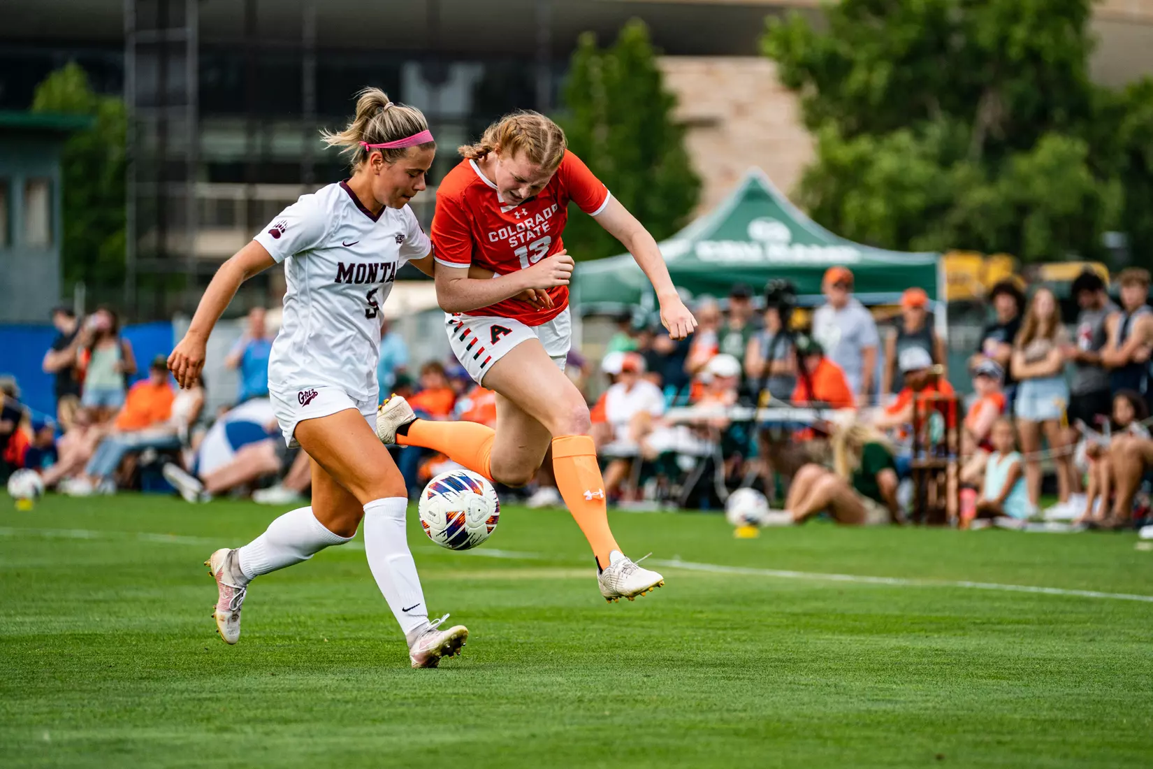 Colorado State vs. Montana