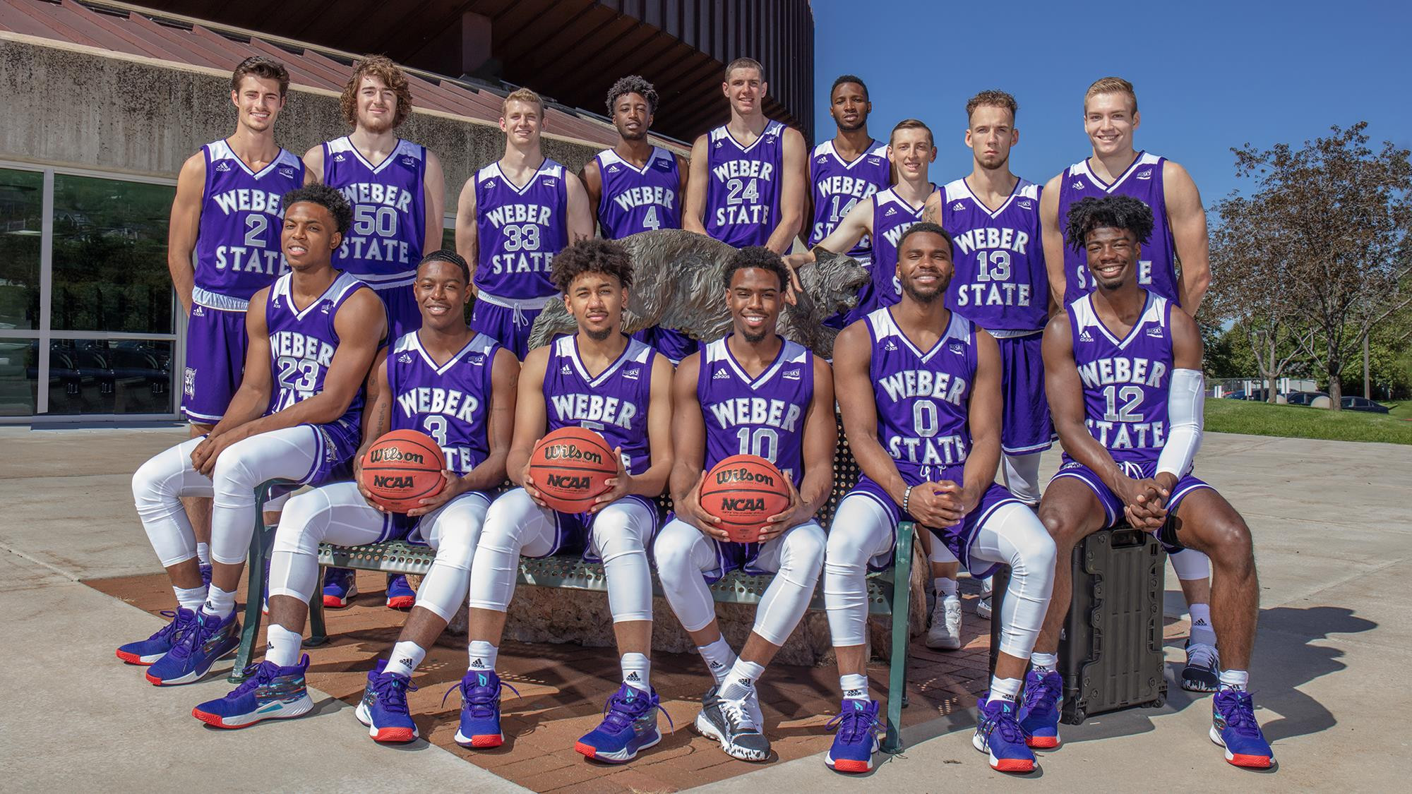 Weber state sales basketball roster