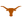 #1/1 Texas Logo
