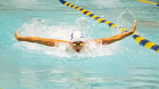 WSWIM