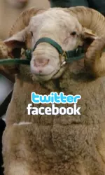 CSU's football Twitter page launched earlier last month, and several coaches now are tweeting regularly