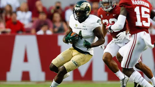 Michael Gallup