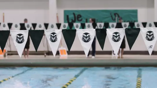 Swim Adds Four More