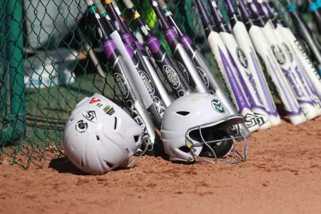 Softball Helmets