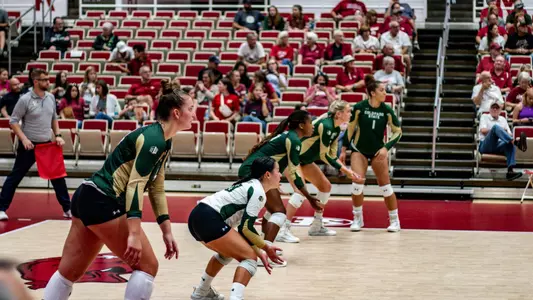 Volleyball vs Arkansas