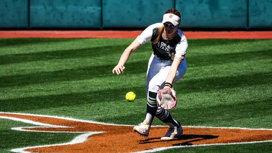 Ashley York in Texas