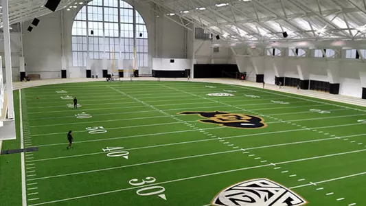 IPF