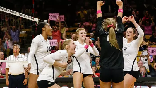 WVB