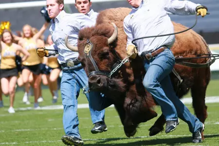 Ralphie