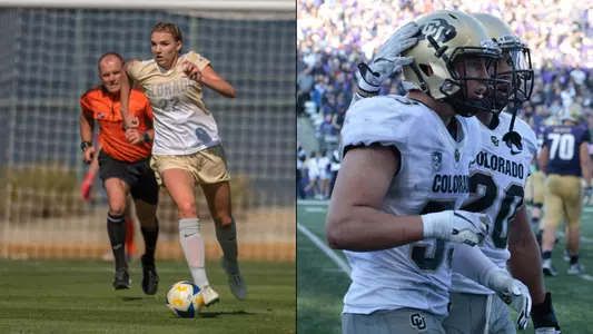 kornieck landman aow