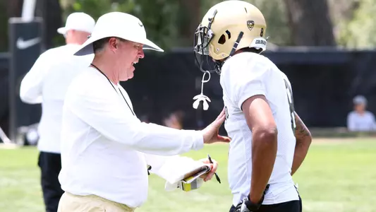 MacIntyre and Udoffia