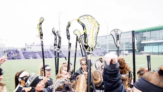 Lacrosse Sticks