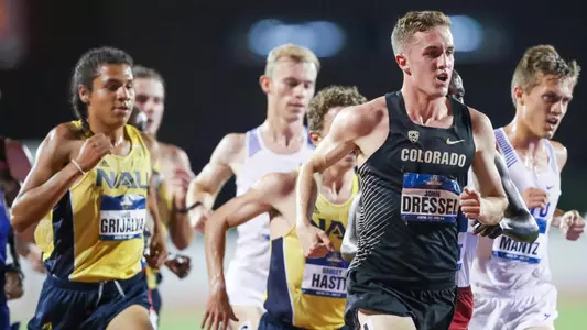 dressel