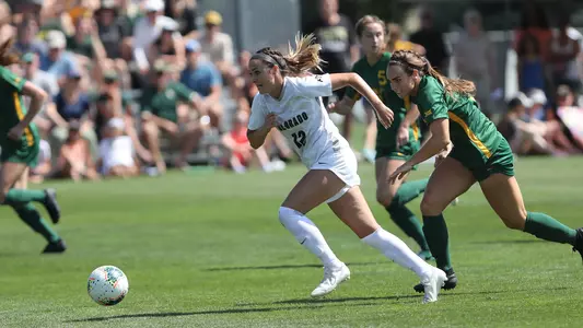roo yarnell-williams vs. baylor 2019