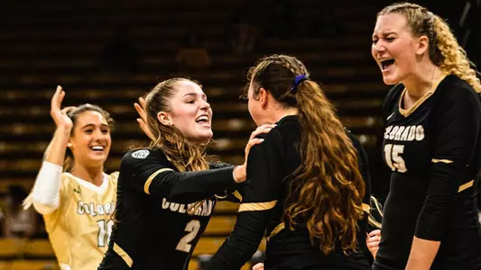 Volleyball Celebration