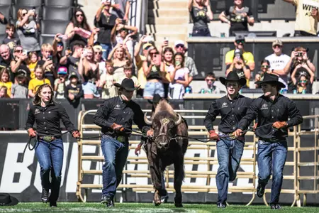 Ralphie run vs UCLA 2022