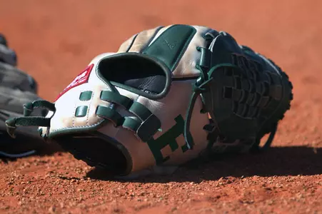 Softball Glove Stock Shot