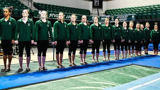 Gymnastics Team