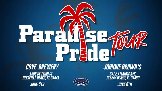 Paradise Tours 2024 2