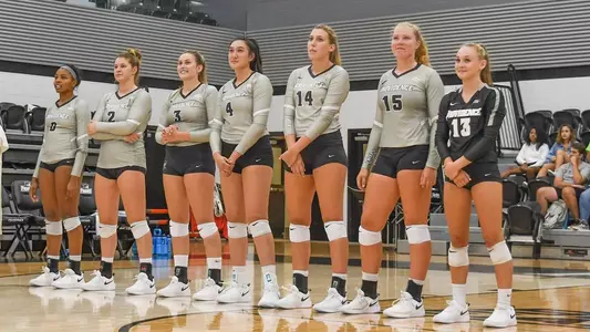 2019 VB Team