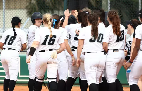 Softball Huddle celebrating homerun in Florida. 