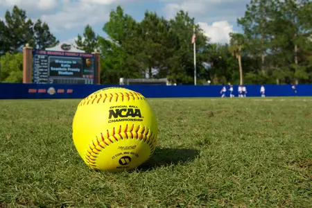 2014 Softball Bio Background