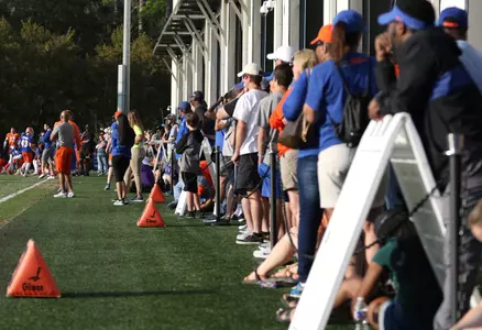 Gators Fans (2018 spring)