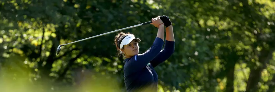 Maria Fernanda Torres