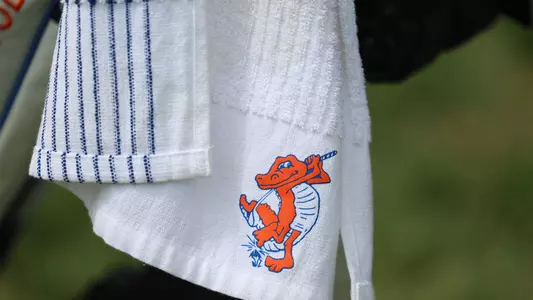 Golf AA Detail