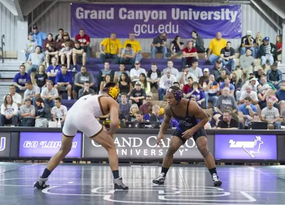 Wrestling