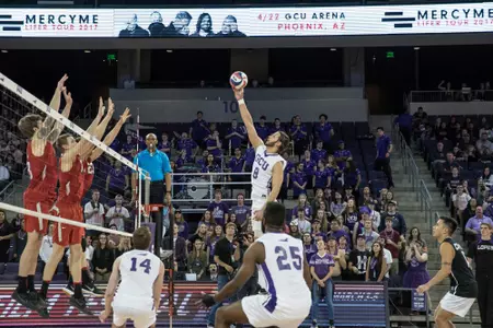 Men's volleyball