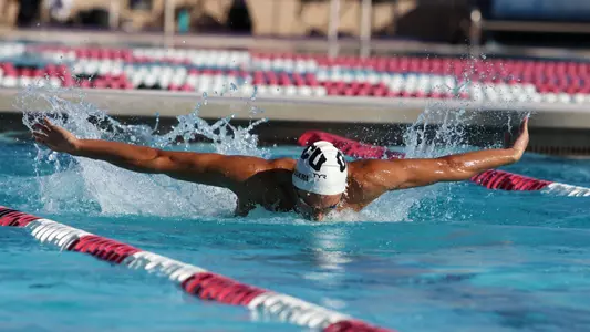 Mazen Shoukri action