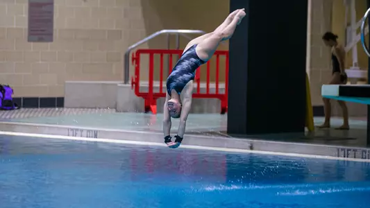 DIVE: Bak