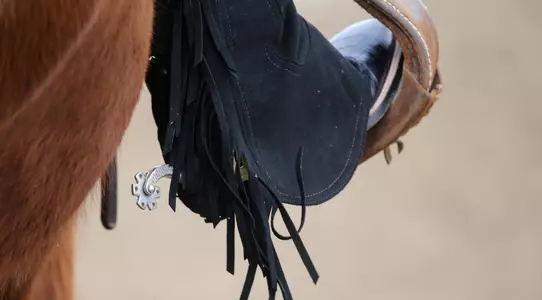 Fresno State Equestrian spur