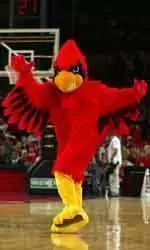 Join in the fun at an Official Cardinal Gamewatching Party!