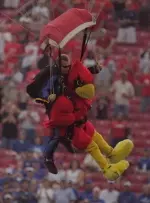 Cards' and 'Cats to play on Sunday