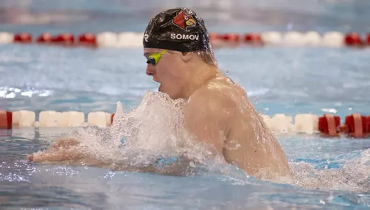 Louisville Cardinal swimmers compete against Virginia at Ralph Wright Natatorium on November 3.