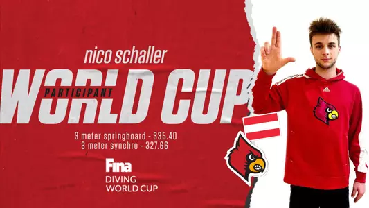 Graphic for World Cup Diving 