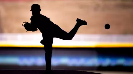 World Photo Day -- Baseball