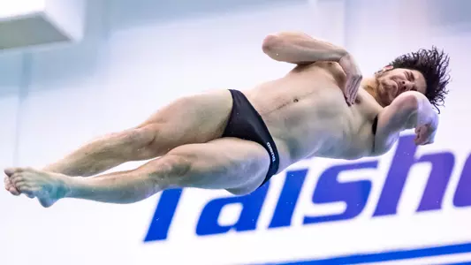 Harel Anolick diving