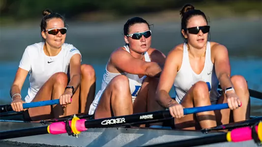 2V8 CotW
